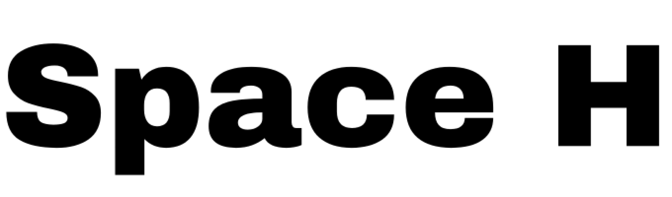 logo-Space H 金工