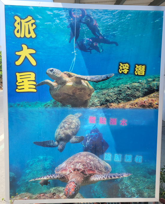 logo-派大星潛水/浮潛