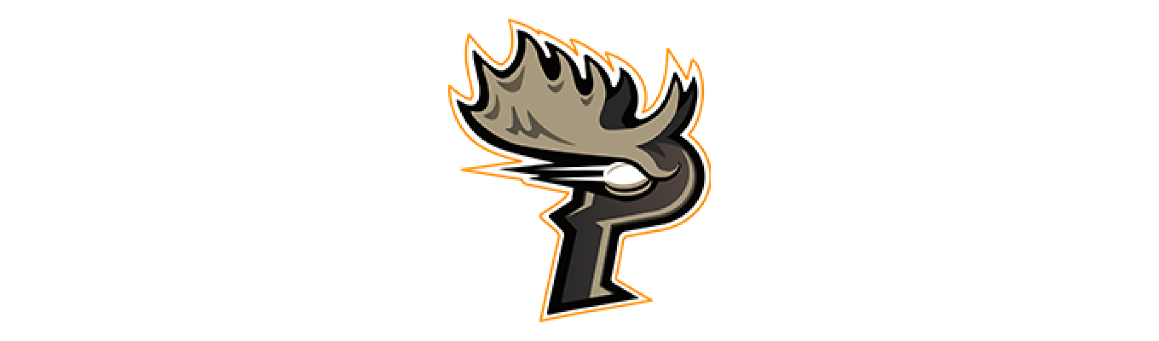 logo-帕克鹿 Puck Moose｜鼎翔運動 DX Sports